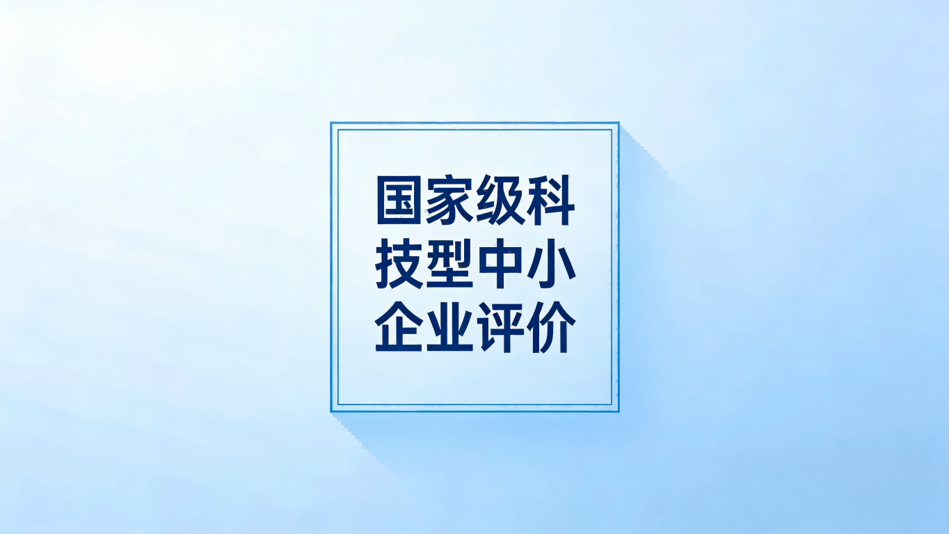 国家级科技型中小企业评价